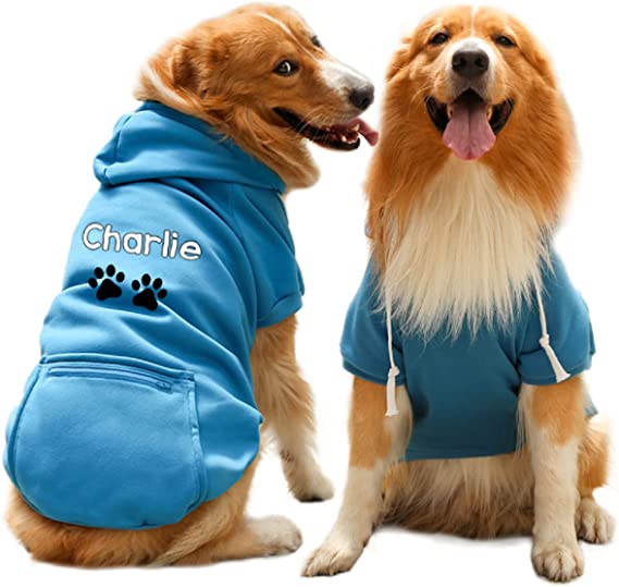blue dog hoodie
